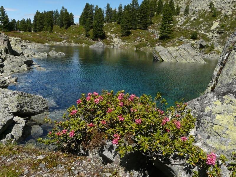 Pension Schoepf Arzl im Pitztal Ngoại thất bức ảnh